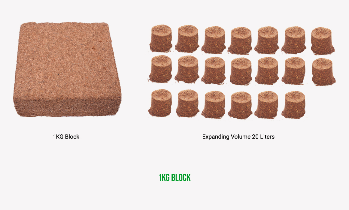 bricks-1-kg